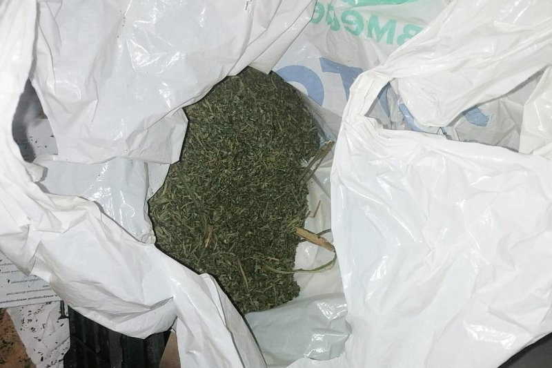 Шадринские полицейские изъяли у местного жителя более килограмма каннабиса